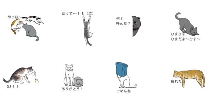 初見は驚くこと間違いなし 吹き出しに群がる猫 Lineスタンプが猫の自由さを感じる ねとらぼ