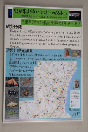 昆虫が集まるコンビニを調べた中学生の自由研究 ネットの反響受け三重県総合博物館での再展示が決定 ねとらぼ