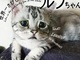 なにこの顔！　かわいすぎる困り顔の猫・ルフちゃんの写真集が発売