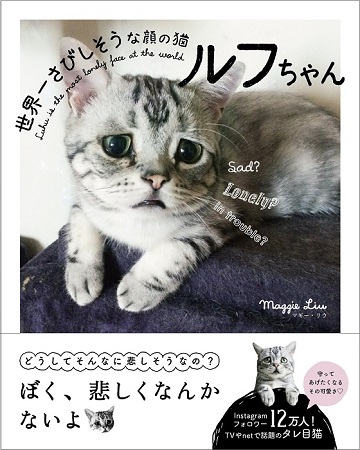 なにこの顔 かわいすぎる困り顔の猫 ルフちゃんの写真集が発売 ねとらぼ