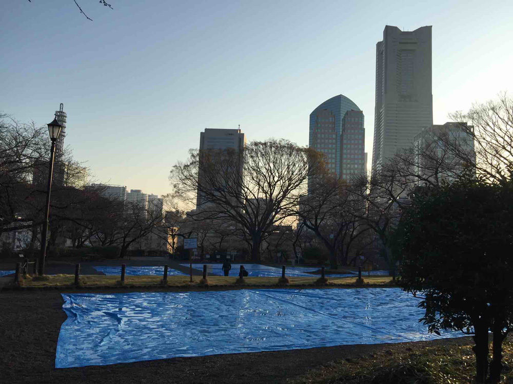 花見の場所取り で建設大手 日揮に苦情 広場の大半を5日間にわたり占拠 批判受けて謝罪 撤退へ ねとらぼ