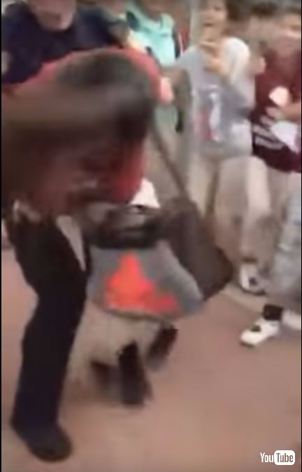 警察官が12歳の少女を床にたたきつける様子を写した動画が波紋 警官は解雇に ねとらぼ