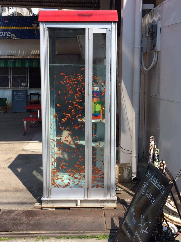 奈良県に金魚の入った電話ボックスがある 誕生秘話を聞いてみた ねとらぼ