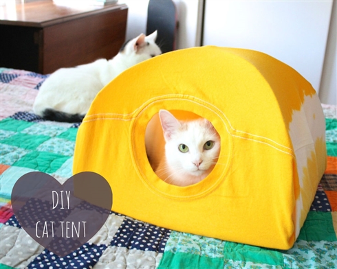 5分で作れる猫テント