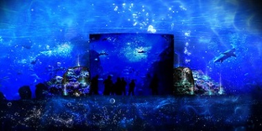 神秘的な夜の水族館 ナイトワンダーアクアリウム16 月光に漂う水族館 が江ノ島で開催 ねとらぼ