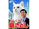 選挙ポスターってつまらないじゃないですか――　謎の猫推しで話題の選挙ポスター、本人にその意図を聞いた