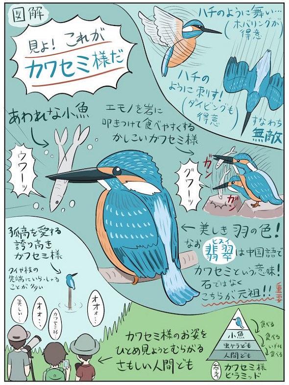 ざんねんないきもの事典 アニメ化決定 Nhk Eテレで8月6日から放送 L Kh 1806zannen03 Jpg ねとらぼ