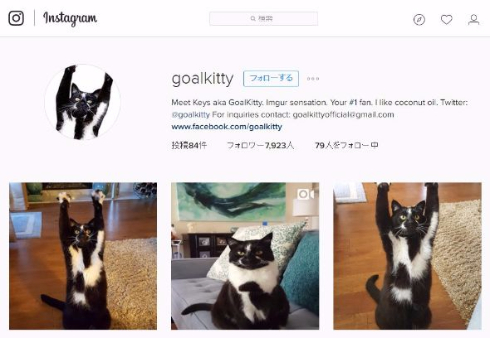 猫 バンザイ Instagram GoalKitty