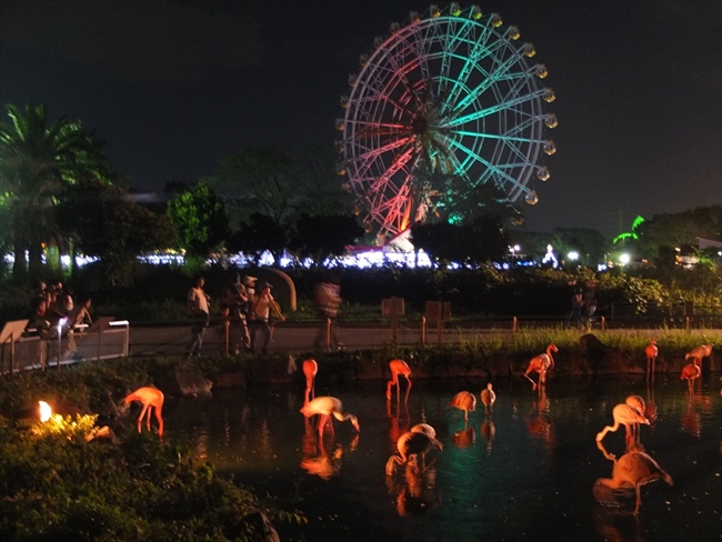 夜の東武動物公園に入れるイベント開催 ゾウやペンギンのディナータイムにエサやり体験も ねとらぼ