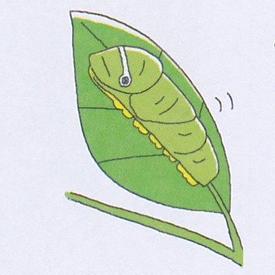本当に蚕か 漢字ドリルに描かれたイラストが別の生物ではないかとtwitterでツッコミ 版元の見解は ねとらぼ