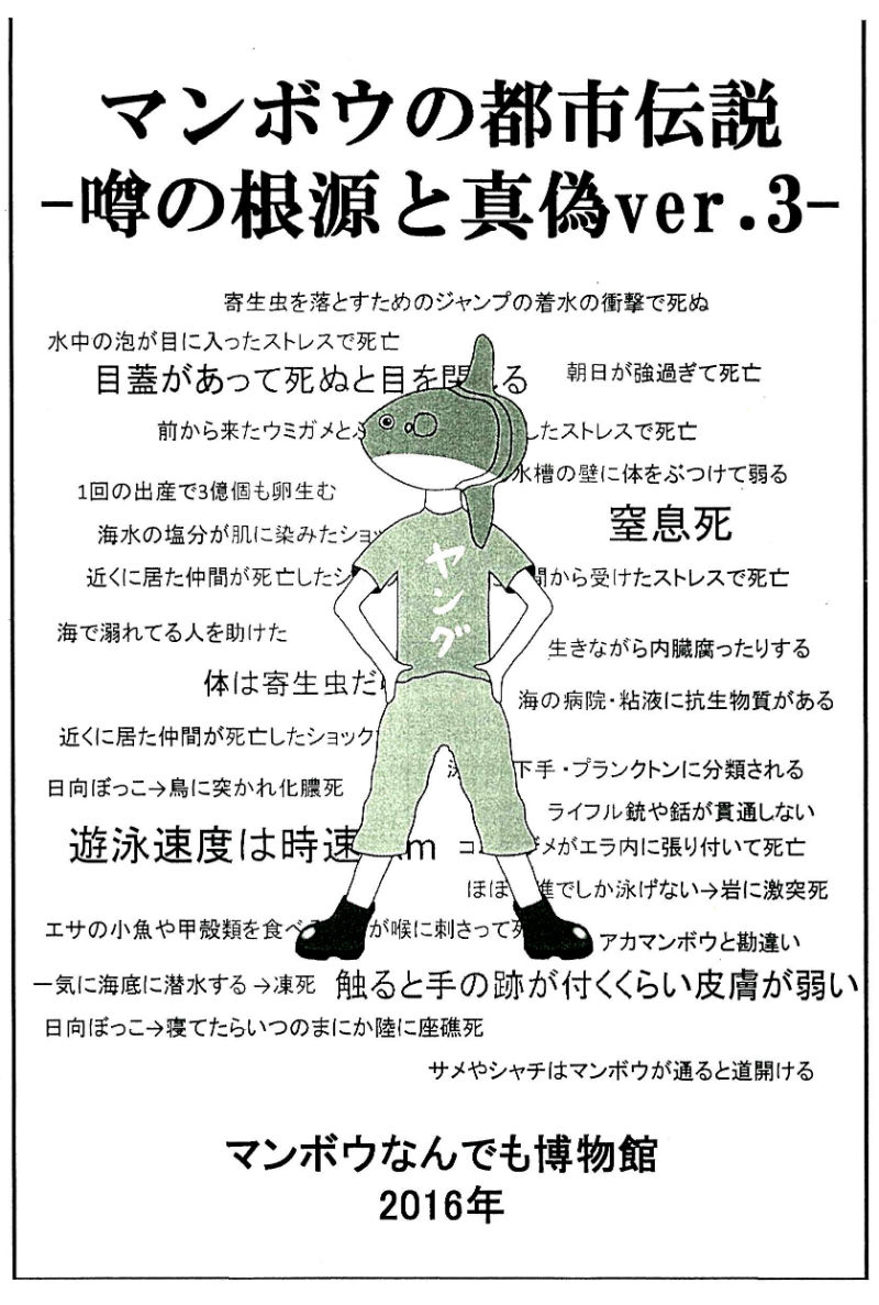 マンボウ最弱伝説はウソ 着水の衝撃で死ぬ 朝日が強すぎて死ぬ などの真偽を研究者が判定 司書メイドの同人誌レビューノート ねとらぼ