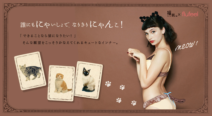 猫になりたいあなたにぴったり フェリシモから猫ランジェリーセットが登場したニャンよ ねとらぼ