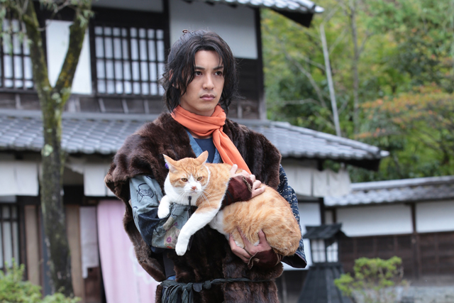 猫侍 の次は 猫忍 ねこにん だ 主演は 花燃ゆ とと姉ちゃん の大野拓朗 ねとらぼ