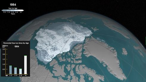 北極　海氷