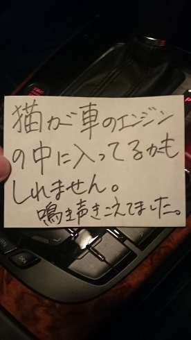 猫が車のエンジンの中に入ってるかも 車体内部の猫の存在を教え事故を防いでくれた匿名のメモ書きが話題に ねとらぼ