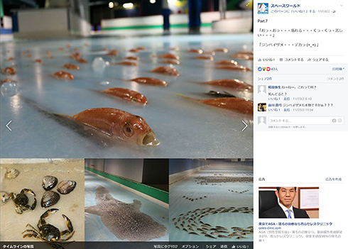 北九州 スペースワールド5000匹の魚を氷漬けにしたアイスリンクに非難の声 公式fbには残虐な表現も ねとらぼ