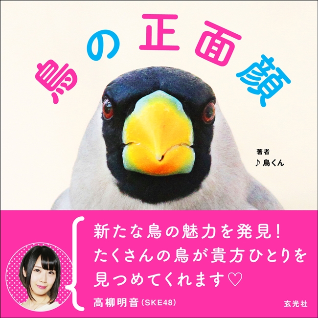 鳥さんの視線を独り占め 鳥の正面顔 だけを集めた写真集が鳥クラスタの心を刺激しそう ねとらぼ