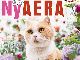 雑誌「AERA」がネコ化だと？　1冊丸ごと猫特集の「ニャエラ」12月31日発売