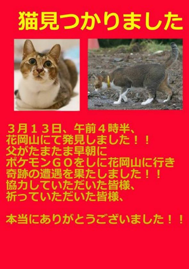 猫 失踪 発見 ポケモンGO Twitter 梶尾真治