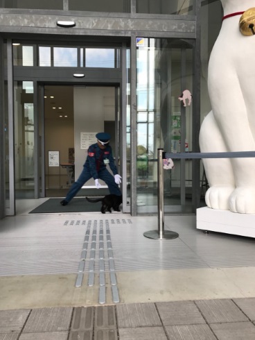 尾道市立美術館 招き猫亭コレクション 猫まみれ展 侵入