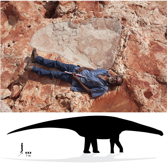 世界最大となる1.7メートルもの恐竜の足跡が発見される オーストラリア北西部に生息していた竜脚類 - ねとらぼ