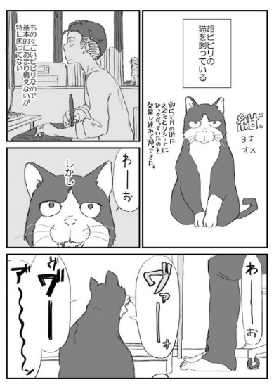 猫 ビビリ スーパーボール 漫画