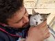 内戦続くシリアのアレッポで猫や犬を助ける人に「ノーベル平和賞を」の声　170匹以上の動物たちを保護する