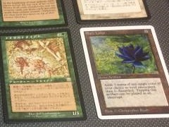 断捨離のため息子のカード売ります」→市場価格50万のMTG「ブラック