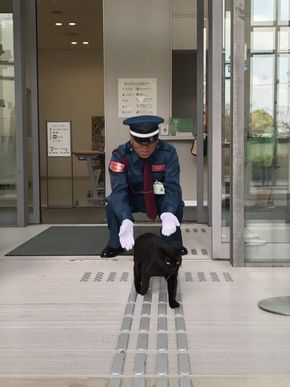 尾道市立美術館　猫　警備員　トートバック