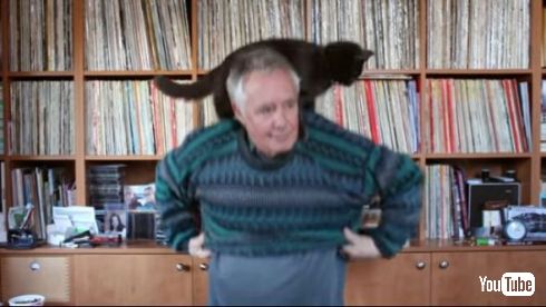 猫 乗せたまま セーター 着替え 方法