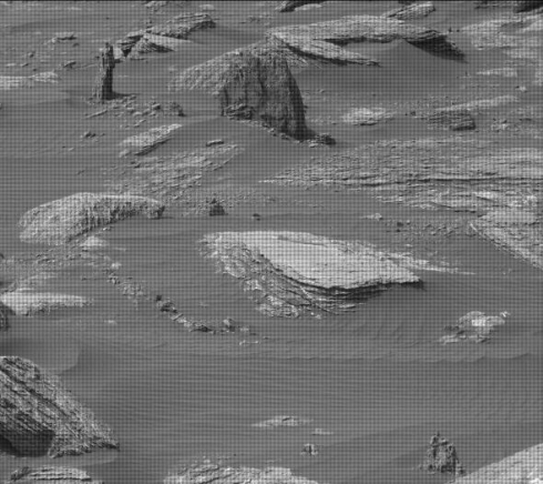 火星に樹が見つかる Nasaのモノクロ写真に 切り株が写っている 声上がる ねとらぼ
