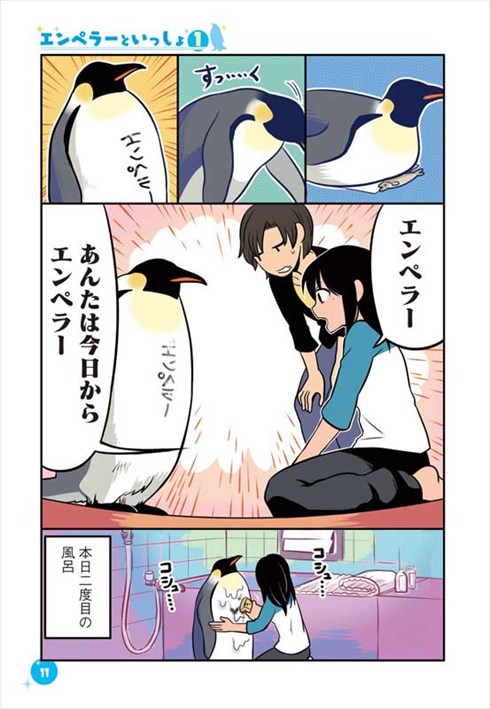 同居人と化した皇帝ペンギン ゆるい日常漫画 エンペラーといっしょ のlineスタンプがシュールでかわいい ねとらぼ
