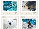 北海道・旭山動物園の動物たちがフレーム切手に　ホッキョクグマやユキヒョウなど人気の動物が登場
