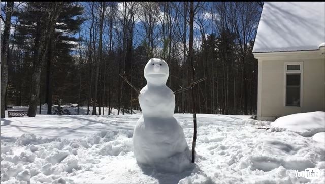 雪だるまを倒しちゃうワンコ テンション高めでめっちゃ楽しそう ねとらぼ