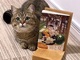 猫いっぱいの縁側ラブコメ『猫のお寺の知恩さん』のフォトコンテスト結果が発表！