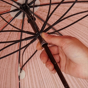 ベニテングタケの傘