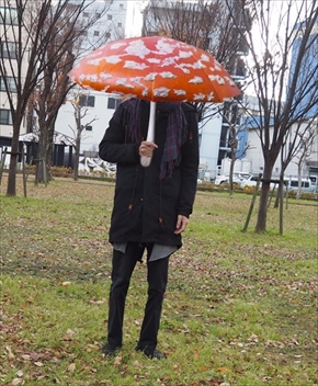 ベニテングタケの傘