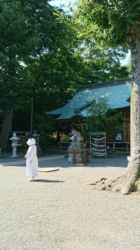 パンダ　宮司　神社　有鹿神社