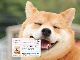 心強いワン　愛犬の情報をひとまとめにできる「マイワンバーカード」が新登場