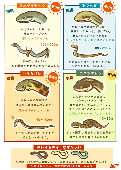 身近なヘビの見分け方を説明したイラストがかわいい 子どもに読ませ