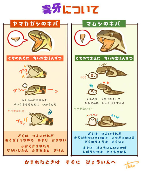 身近なヘビの見分け方を説明したイラストがかわいい 子どもに読ませたい 小学校の図書館に掲示したい などの声も ねとらぼ