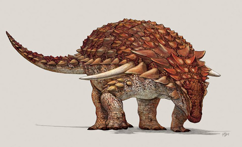 カナダで新種の恐竜「Borealopelta markmitchelli」