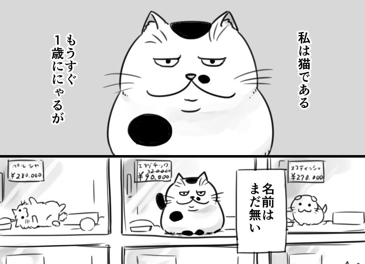 売れ残りの猫ちゃんが出会ったのは 漫画 おじさまと猫 に 電車で泣きそうになった 涙が止まらない の声 ねとらぼ