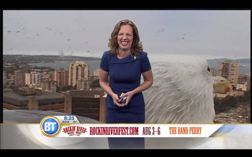 カナダのニュース番組、巨大カモメが映り込むハプニング