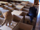 使ったダンボールは50箱　ネコちゃん用の巨大迷路を自作した飼い主さん