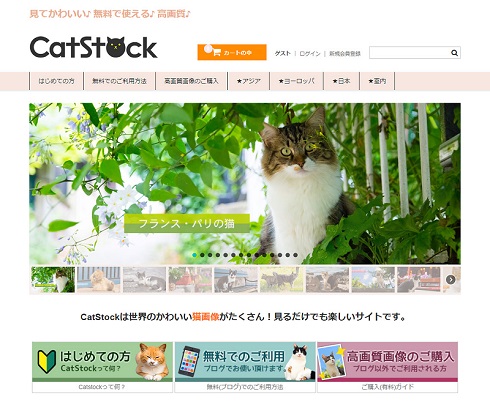 CatStock