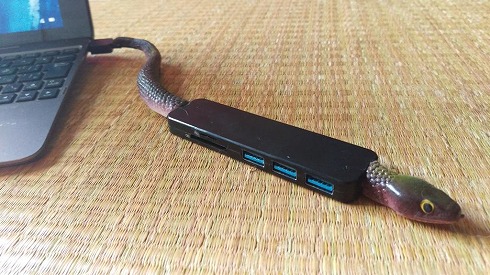 USBnu