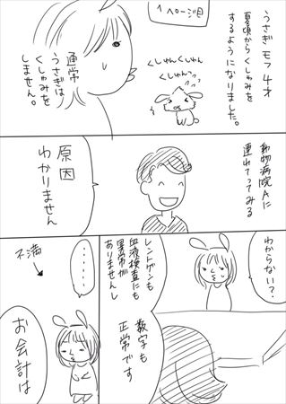 こんなにも違うのか 動物病院の対応の違いに驚く漫画に注目集まる ねとらぼ