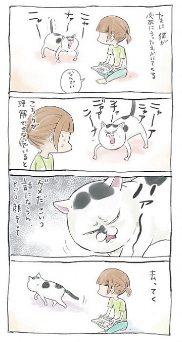 犬と猫どっちも飼ってるマンガが毎週たのしい カワイイ犬とふてぶてしい猫のギャップ芸が冴えわたる ねとらぼ