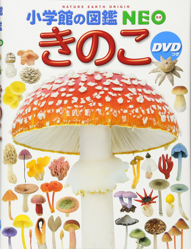 毒キノコに誤って 食用 記載 小学館のキノコ図鑑が謝罪 回収へ ねとらぼ